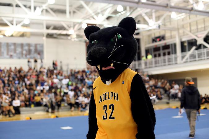 Adelphi University Logo