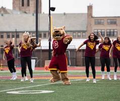 Concordia University Chicago Logo