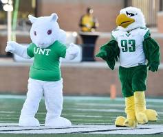 University of North Texas Logo