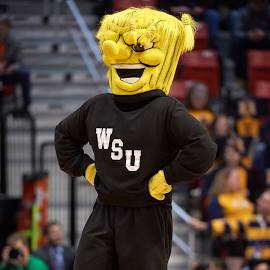 Wichita State University Logo
