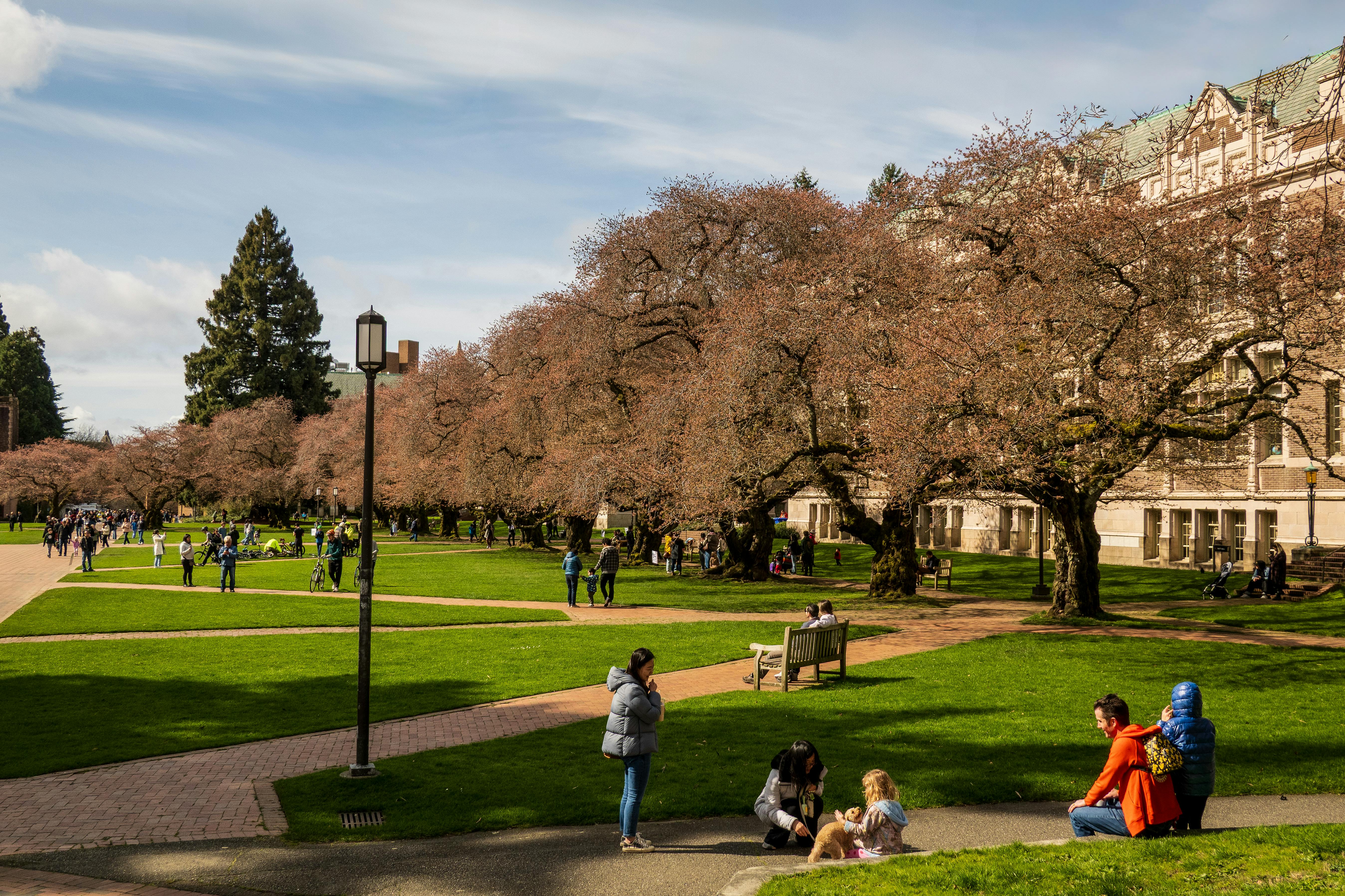 Scholarships from the College Board in India